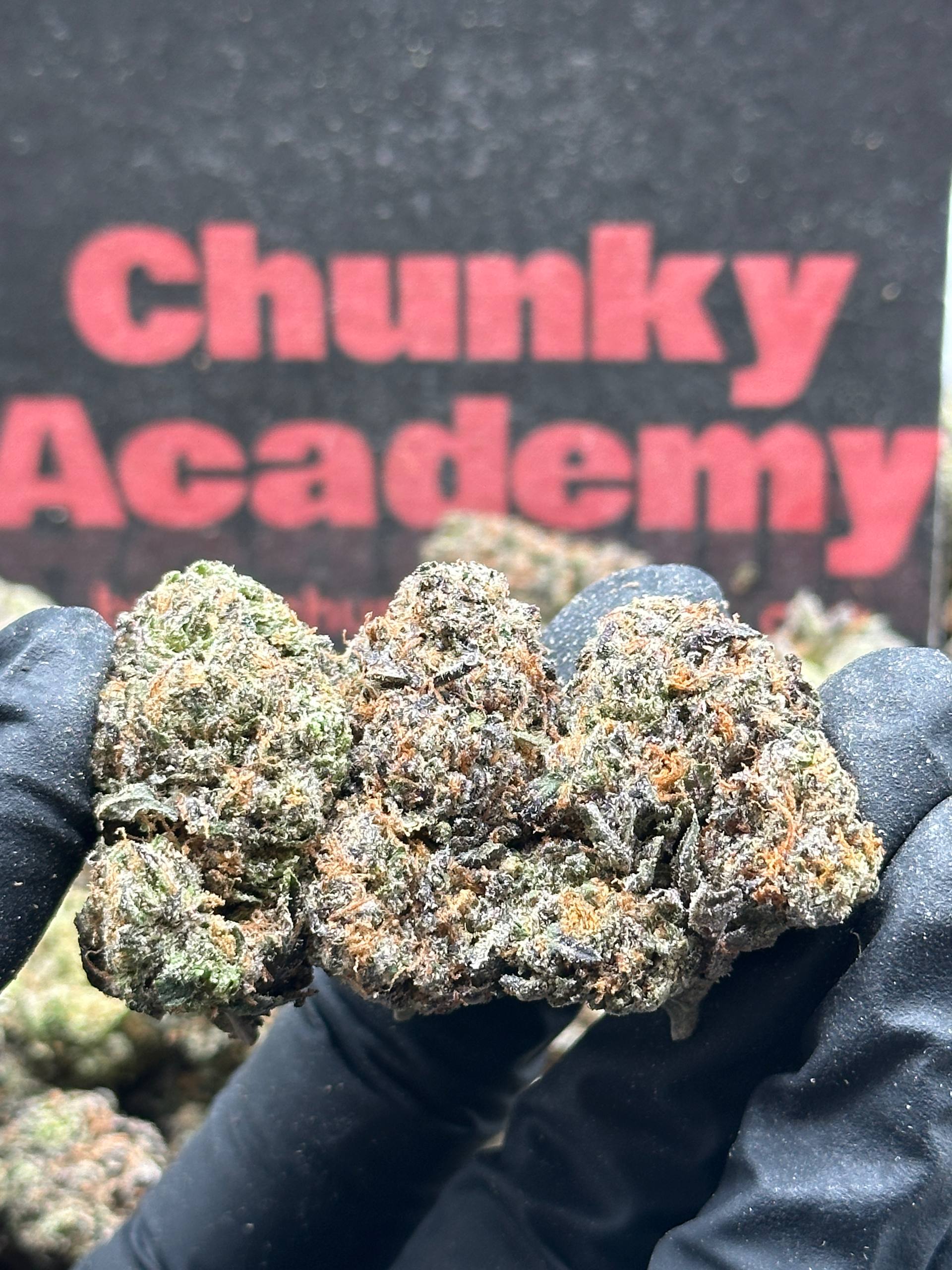 Indoor FIRE Exotics