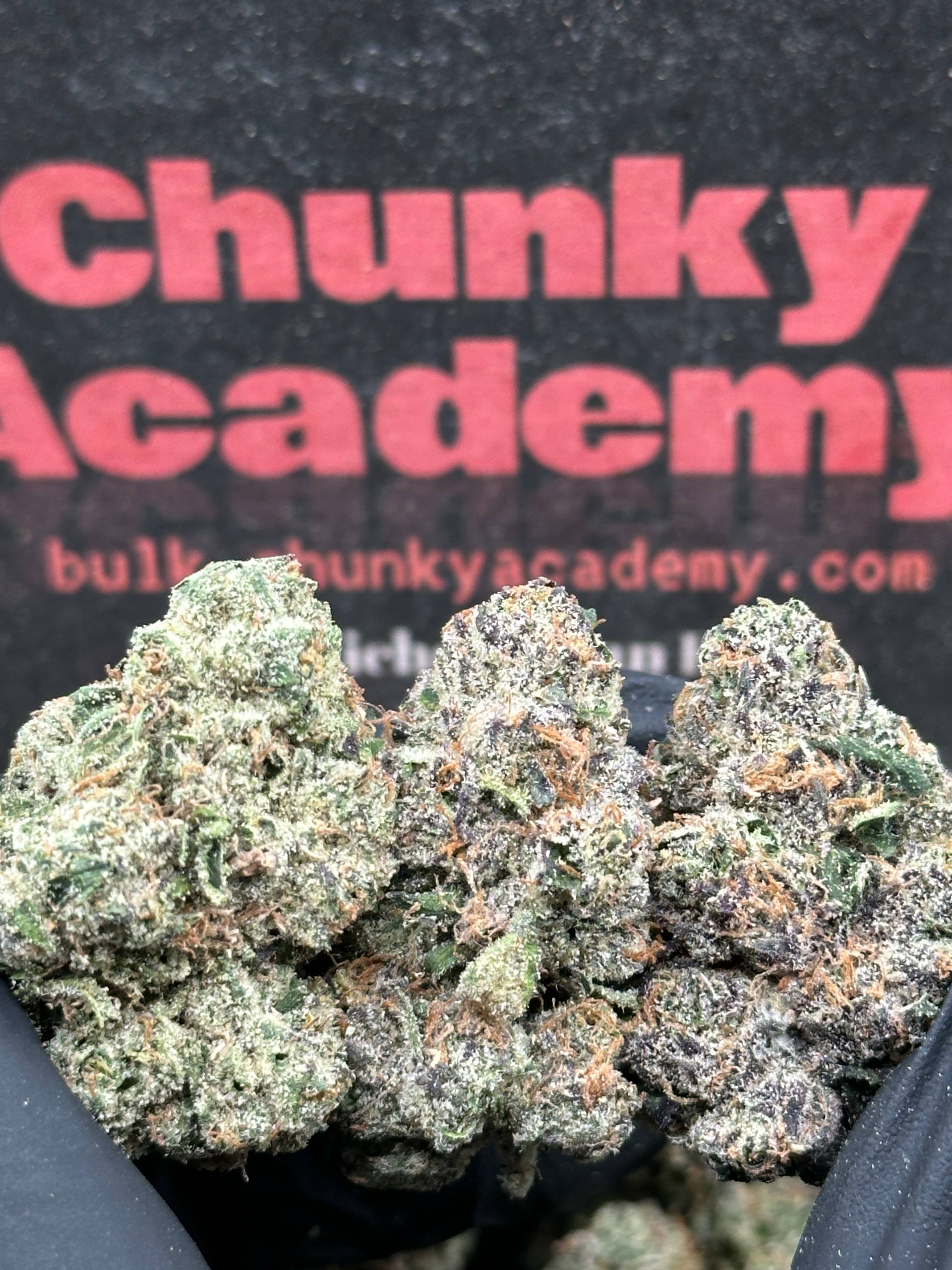Indoor Super Exotics